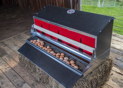 extra large stainless steel commercial rollaway chicken nest box|roll out chicken box.